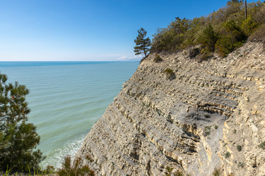 Similar image 21425682