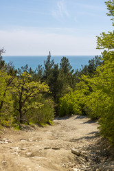 Similar image 21425683