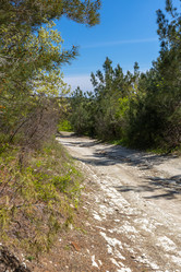 Similar image 21425684