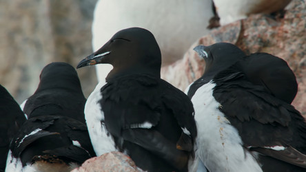 Similar image 21425685