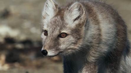 Similar image 21425628