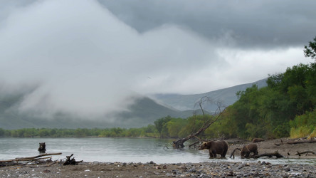 Similar image 21425688