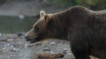 Similar image 21425690