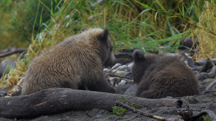 Similar image 21425691