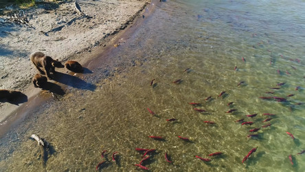 Similar image 21425631