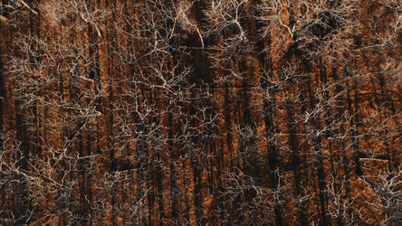 Similar image 21425692