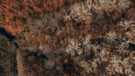 Similar image 21425693