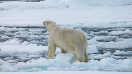 Similar image 21425696