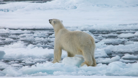 Similar image 21425633