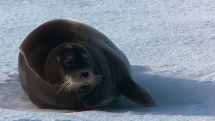 Similar image 21425697