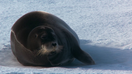 Similar image 21425634