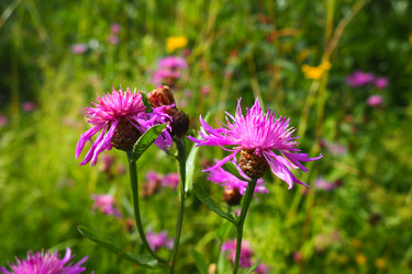 Similar image 21430838