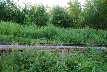 Similar image 21426973