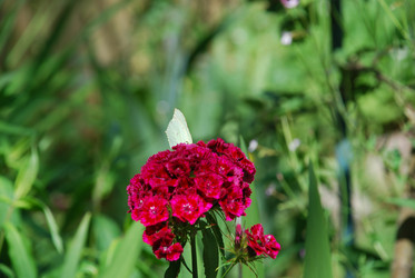 Similar image 21426980