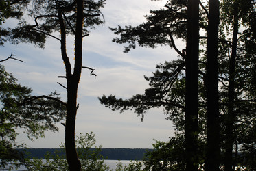 Similar image 21426981