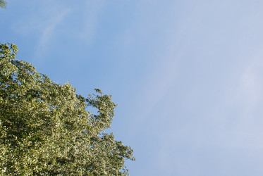 Similar image 21426982