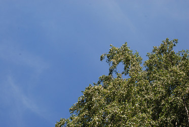 Similar image 21426984