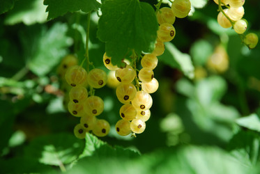 Similar image 21426992