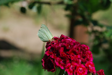 Similar image 21426996