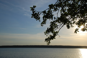 Similar image 21426997