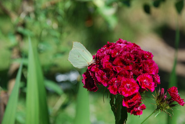 Similar image 21426998