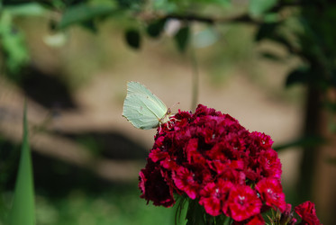 Similar image 21427000