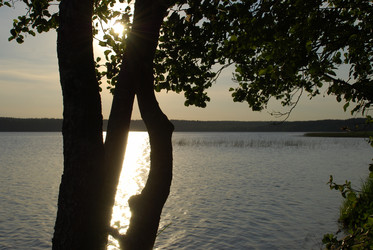 Similar image 21427001