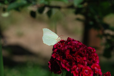 Similar image 21427002