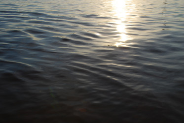 Similar image 21427003