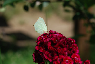 Similar image 21427004