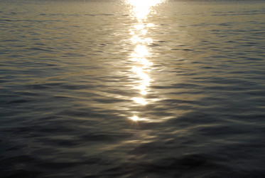 Similar image 21427005