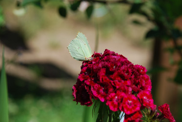 Similar image 21427008