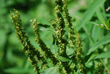 Similar image 21427022