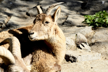 Similar image 21430839