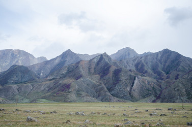 Similar image 21426335