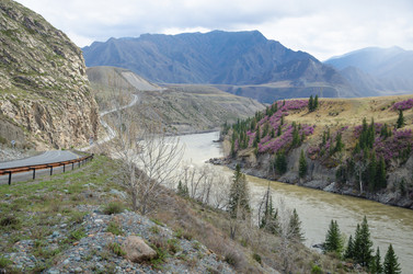 Similar image 21426337