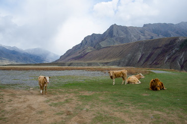 Similar image 21426338