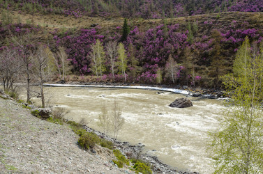 Similar image 21426339