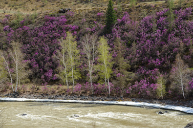 Similar image 21426340