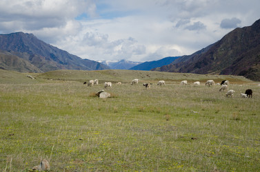 Similar image 21426341