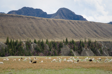 Similar image 21426342