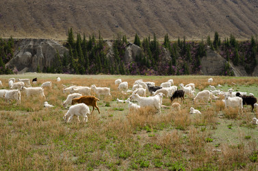 Similar image 21426344