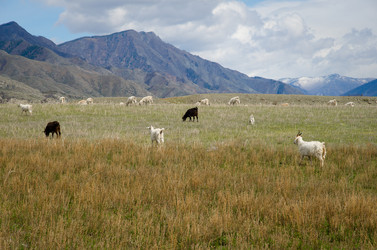 Similar image 21426345