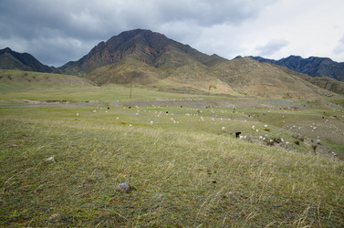 Similar image 21426346