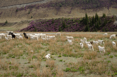 Similar image 21426347