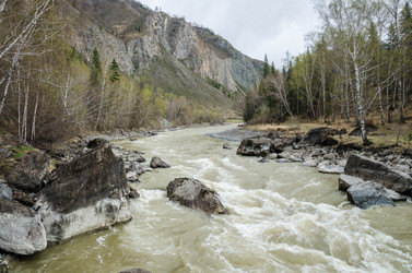 Similar image 21426348