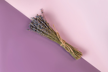 Similar image 21425640