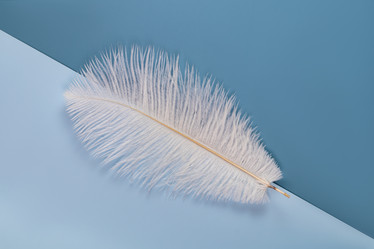 Similar image 21425642