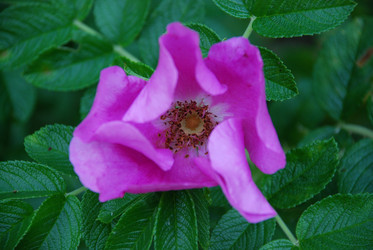 Similar image 21427024