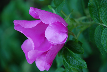 Similar image 21427026